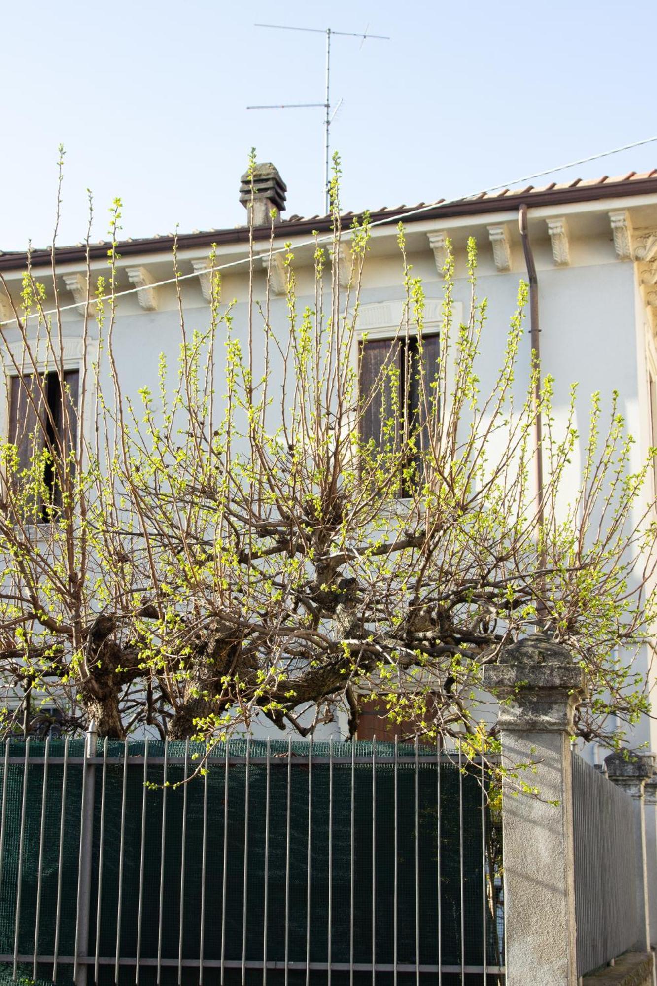 Verona Nest מראה חיצוני תמונה